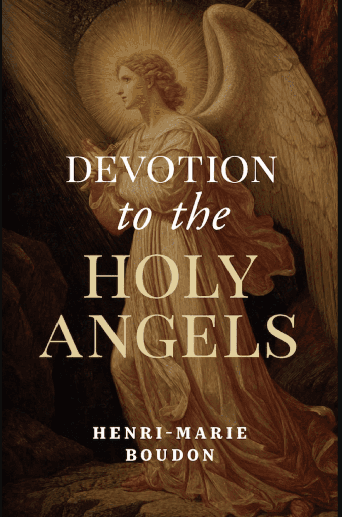 Book cover with an angel illustration.