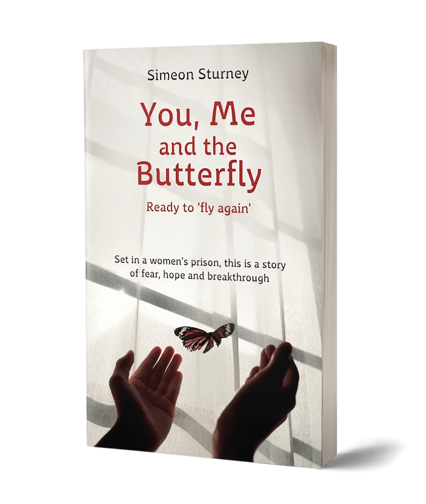 Inspirational book cover with butterfly silhouette
